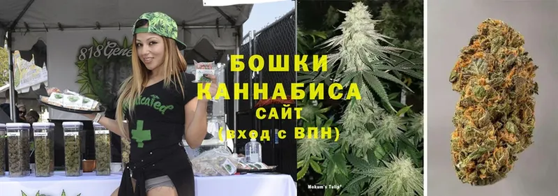 купить   Шимановск  Канабис SATIVA & INDICA 